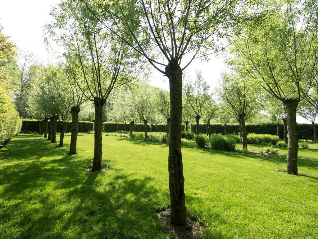 بروج B&B Pronkenburg المظهر الخارجي الصورة